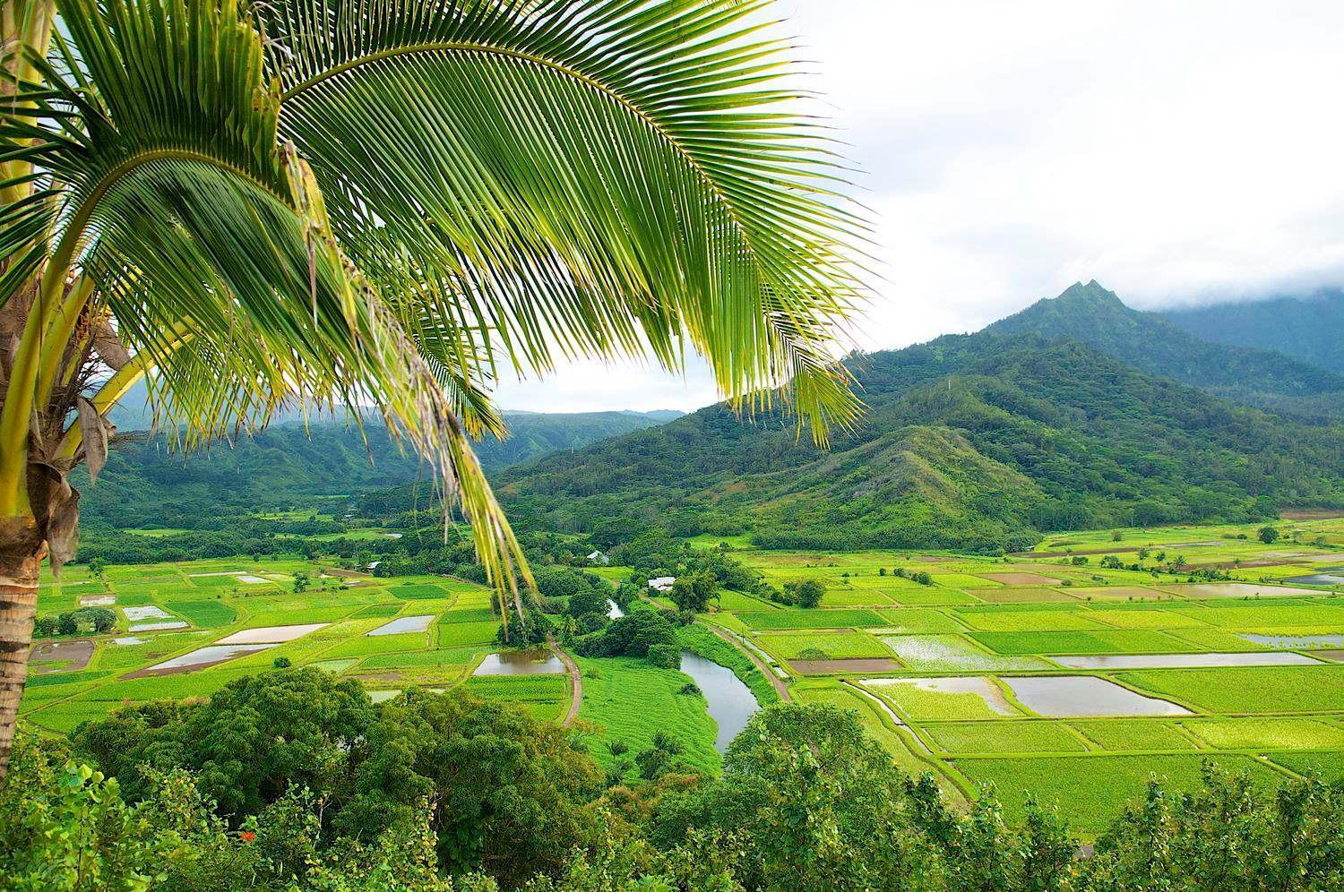 Waipouli Beach Resort Penthouse Beautiful Oceanview Aloha! Ac Pool Kapa'a Bagian luar foto